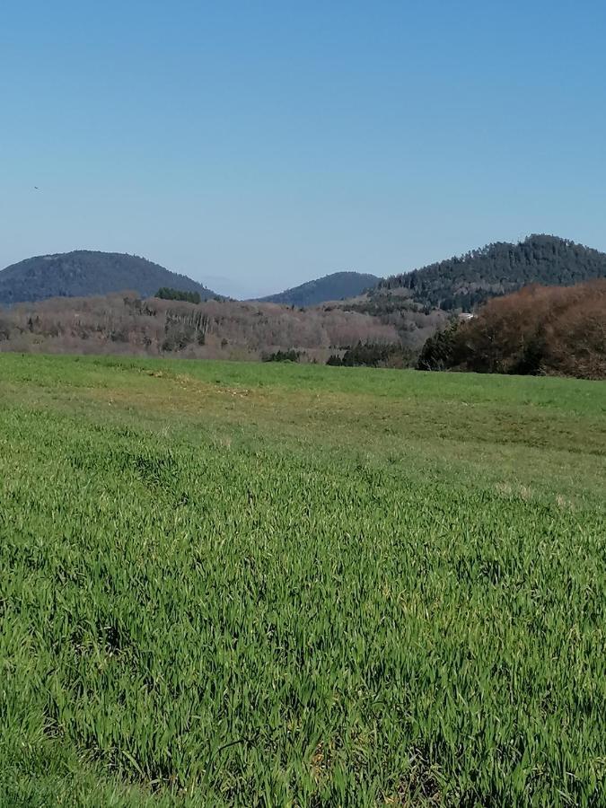 Air Paix Le Mont Villa Herpelmont Buitenkant foto