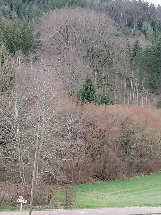 Air Paix Le Mont Villa Herpelmont Buitenkant foto